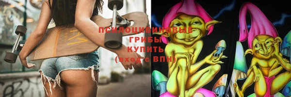 apvp Абаза
