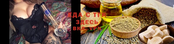 индика Алзамай