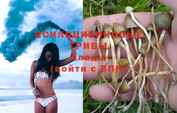 твердый Алексин