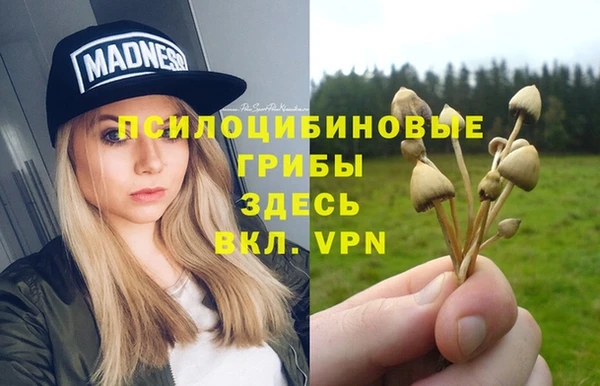 дмт Алексеевка