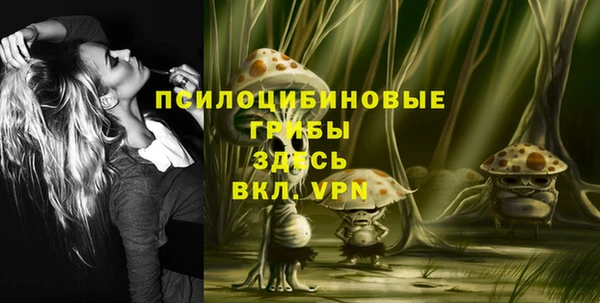 индика Алзамай
