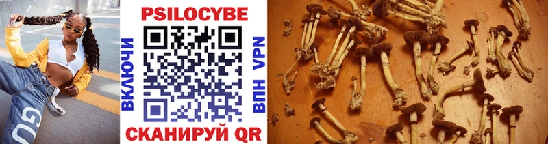 купить   Грайворон  Галлюциногенные грибы прущие грибы 
